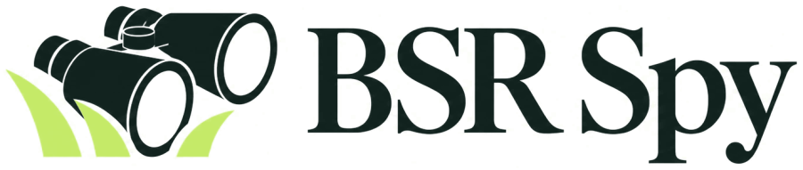 BSR Spy